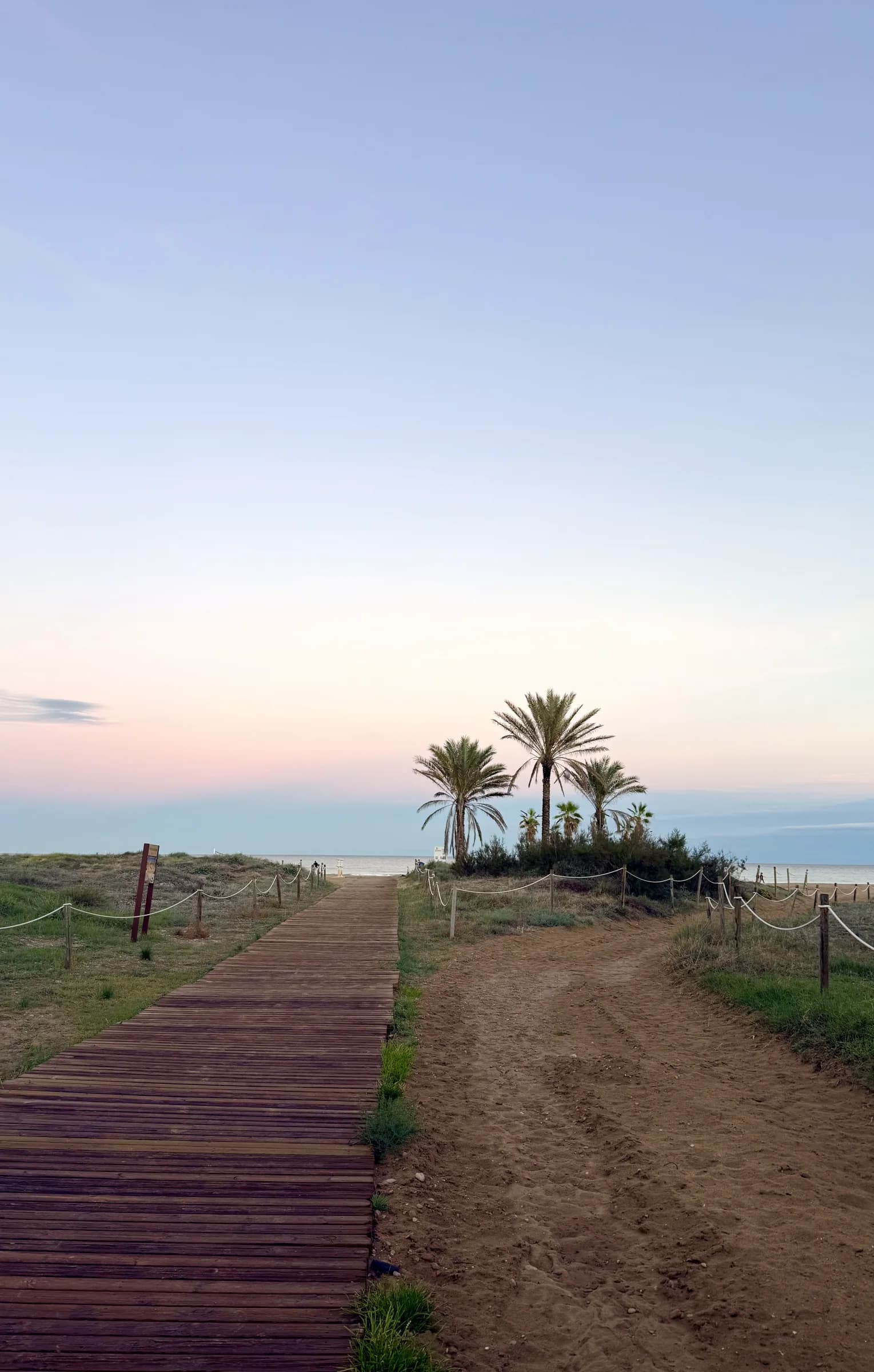 Boardwalk leading to palm trees by the sea