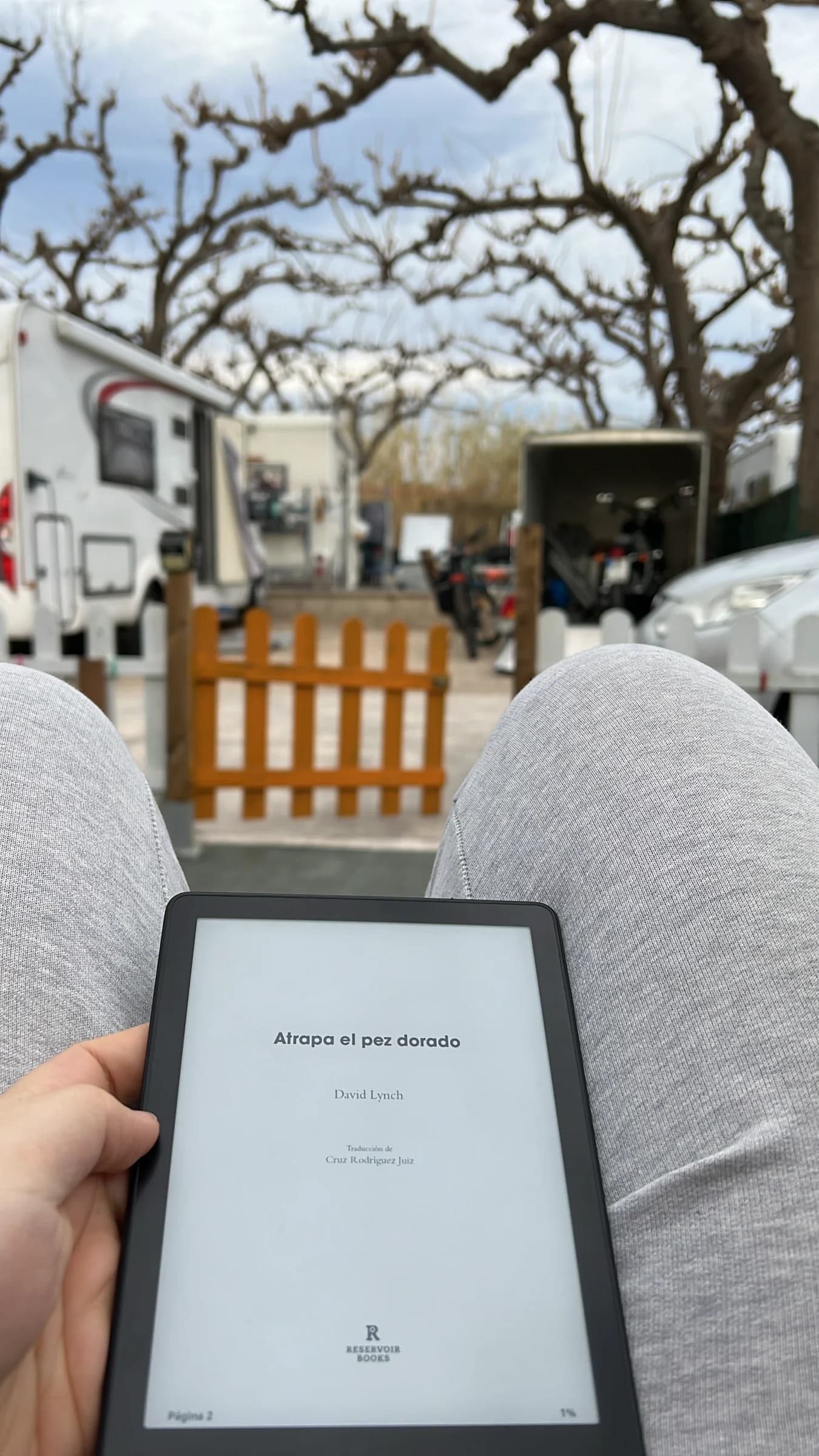 Reading David Lynch outdoors at a campsite